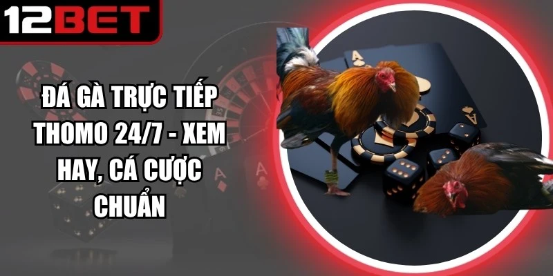 Hướng dẫn cách theo dõi đá gà trực tiếp Thomo 24/7 nhanh chóng 